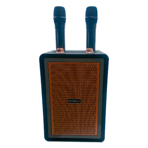 Bocina Karaoke